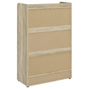 Denia Shoe Cabinet - Michael's Discount Furniture