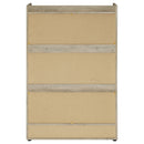 Denia Shoe Cabinet - Michael's Discount Furniture