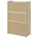 Denia Shoe Cabinet - Michael's Discount Furniture