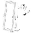 Windrose Standing Mirror with LED Lighting - Michael's Discount Furniture