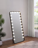 Canton Standing Mirror with LED Lighting and Bluetooth Speaker - Michael's Discount Furniture