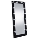 Zayan Floor Mirror with LED Lighting - Michael's Discount Furniture