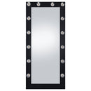 Zayan Floor Mirror with LED Lighting - Michael's Discount Furniture