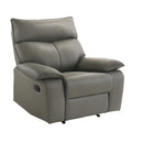 Wildcat Motion Recliner in Aviarah Grey