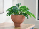 Orban Vase - Michael's Discount Furniture