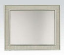 Acme Francesca Mirror in Champagne 62086 - Michael's Discount Furniture