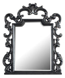 Acme Furniture House Delphine Mirror in Charcoal 28834 - Michael's Discount Furniture