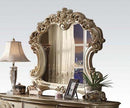 Acme Vendome Mirror in Gold Patina 23004 - Michael's Discount Furniture