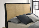 Arini Panel Bed - Michael's Discount Furniture