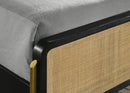 Arini Panel Bed - Michael's Discount Furniture