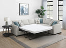 Ashford Fold-Out Sleeper Sectional Sofa - Michael's Discount Furniture