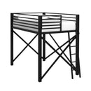 Talia Loft Bunk and Ladder - Michael's Discount Furniture