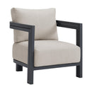 Playa Chair - Dark Grey and Olefin Beige (2 Per Carton) - Michael's Discount Furniture