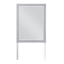 Orion Mirror in Gray B2063-6 - Michael's Discount Furniture
