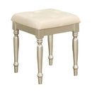 Celandine Vanity Stool in Pearl/Silver 1928-14 - Michael's Discount Furniture