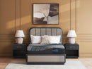 Millennium 2.0 Hybrid 14 Inch Mattress - Michael's Discount Furniture