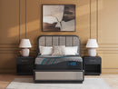Millennium 2.0 Hybrid 16 Inch Mattress - Michael's Discount Furniture