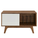 Envision Vinyl Record Display Stand