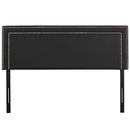 Jessamine King Upholstered Vinyl Headboard