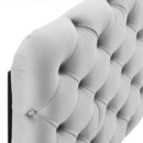 Lizzy Tufted King/California King Performance Velvet Headboard