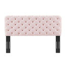 Lizzy Tufted Twin Performance Velvet Headboard