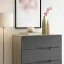 Origin Four-Drawer Chest or Stand