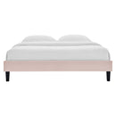 Reign Queen Performance Velvet Platform Bed Frame