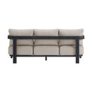 Playa Sofa - Dark Grey and Olefin Beige with 2 Pillows - Michael's Discount Furniture