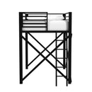 Talia Loft Bunk and Ladder - Michael's Discount Furniture