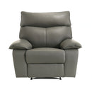 Wildcat Motion Recliner in Aviarah Grey