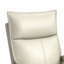 Eco P1 Recliner with Glider and Swivel