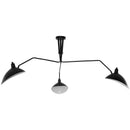 View Ceiling Fixture