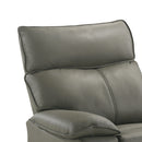 Wildcat Motion Recliner in Aviarah Grey