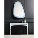 Accent Mirror w/LED