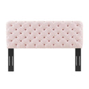 Lizzy Tufted Full/Queen Performance Velvet Headboard