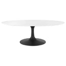 Lippa 48" Oval-Shaped Wood Top Coffee Table