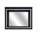 Homelegance Allura Mirror in Black 1916BK-6