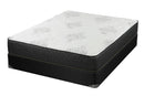 11.5"  Twin Mattress