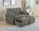 G508308 Sleeper Sofa Bed