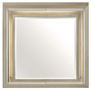 Homelegance Furniture Youth Loudon Mirror in Champagne Metallic B1515-6
